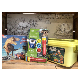 Dinosaur set. Dinosaur torch and projector