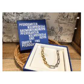  Skagen gold and silver link necklace